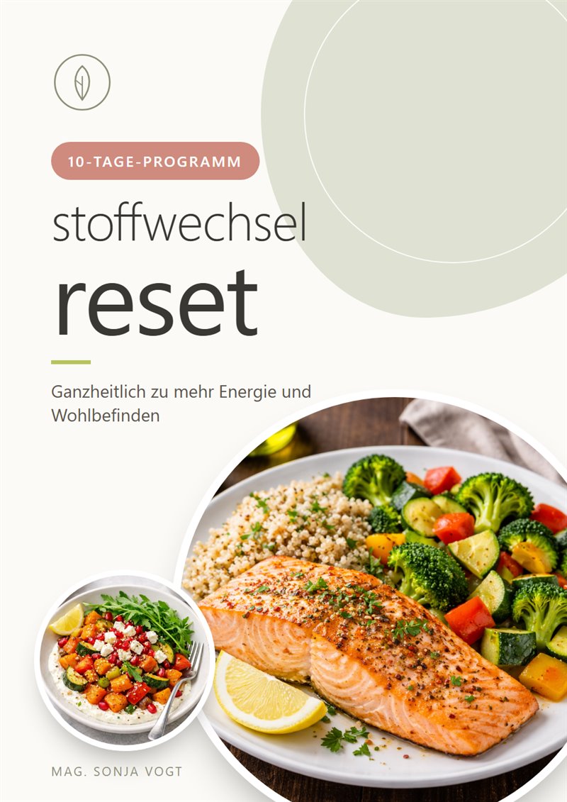 Stoffwechsel Reset Titelbild